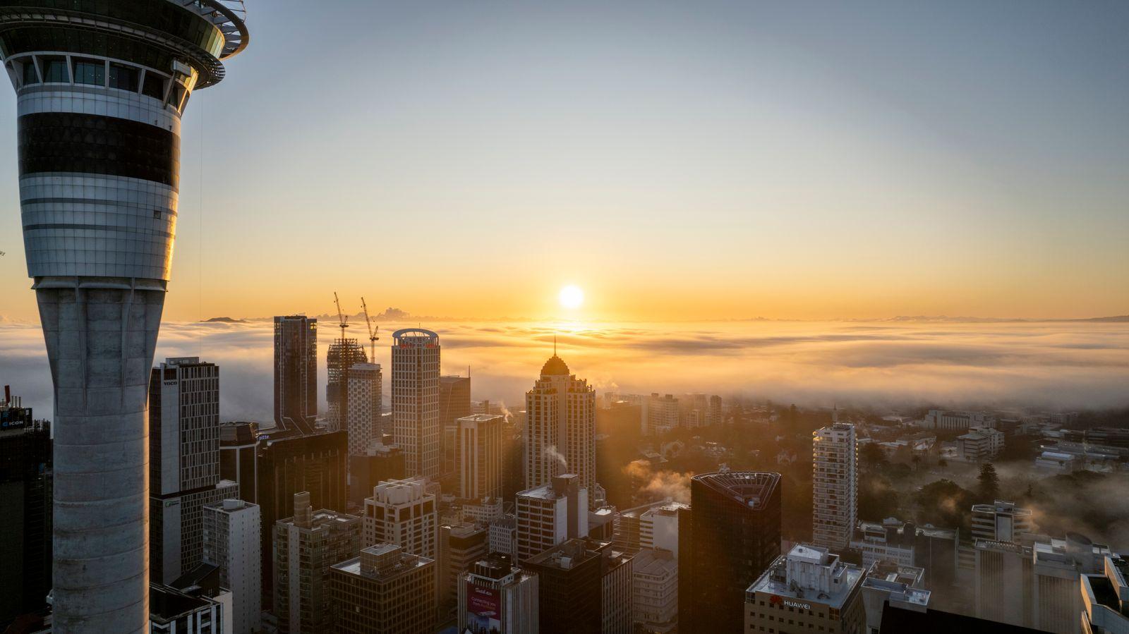 Auckland skyline and Sky Tower at sunrise